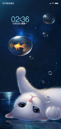 猫咪与金鱼姬