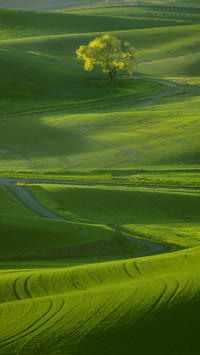 international_scenery (5)