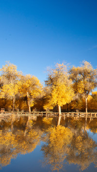 Four Most Beautiful Autumn Places in China 7