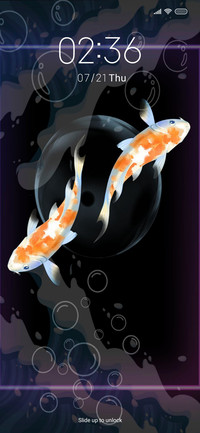Fish