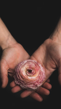 手捧鲜花