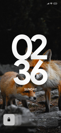 Wildlife_Fox