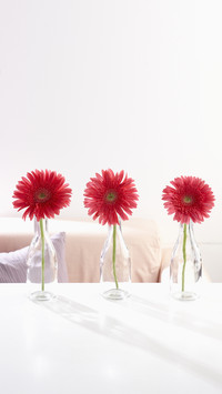 International-flowers