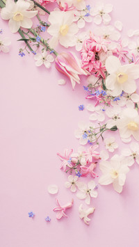 flowers-02