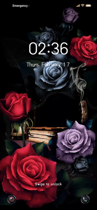 Valentine Roses