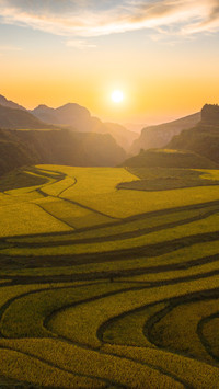 The terraced fields are bathed in the glow of the sunset