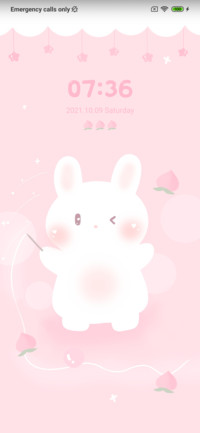 Peach Bunny