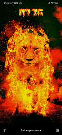 Lion King_DWM20