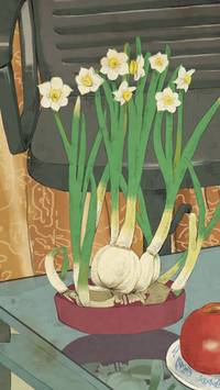 水仙花