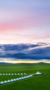 The grassland most suitable for self driving 90