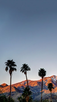 Palm Springs Urban Life at Sunrise