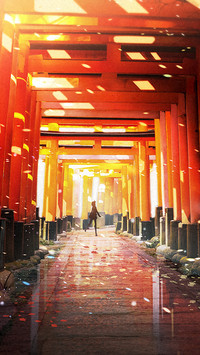 晨光鸟居畅游