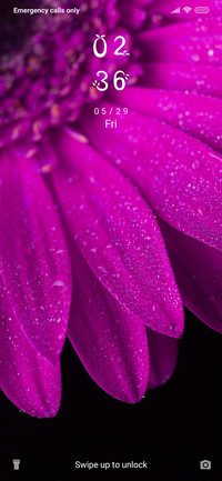 FlowerPetals_3MDP