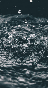 Droplets (2)