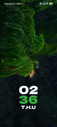 Dew Leaf