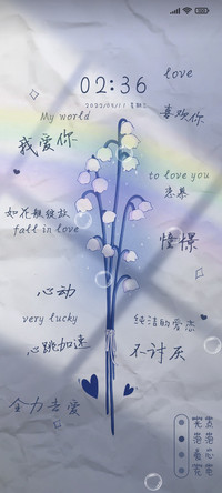 灯笼花之恋