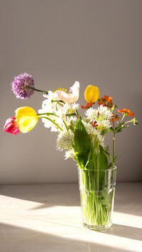 Bouquet of colorful flowers in vase in sun light