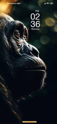 Ape in Dark