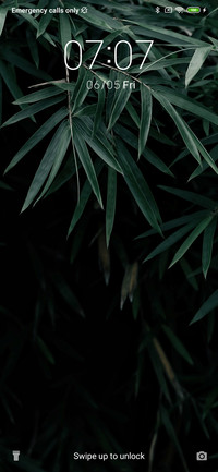 BambooLeaves_3MDS