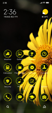daisy yellow