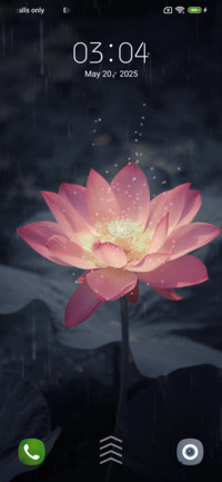Lotus