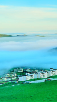 International-Fog