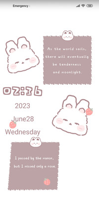 Rabbit patch