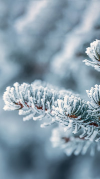 Its the beginning of winter again