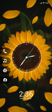 Sunflower un