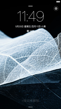 唯美清新叶脉(全图标)