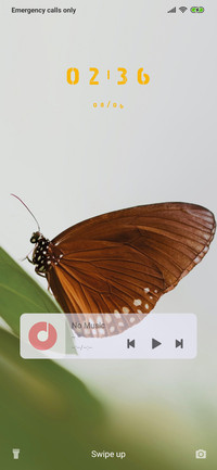 Butterfly - Simple_3MDS