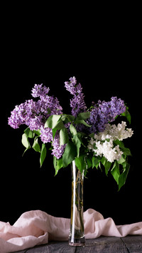 There is also a golden ratio 2 for flower arrangement and co