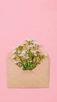 A Letter from Spring