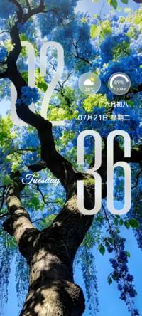 OS 树是另一种海
