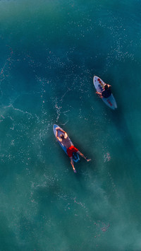 surfing (7)
