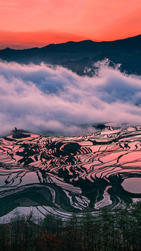 The mirror of the earth