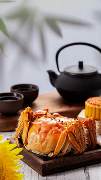 Crabs can also make bouquets 48