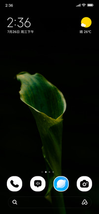 Leaf Texture