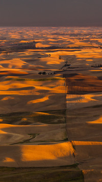 Farmland scenery at sunset in Palus