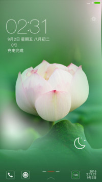 莲之美【永久免费】