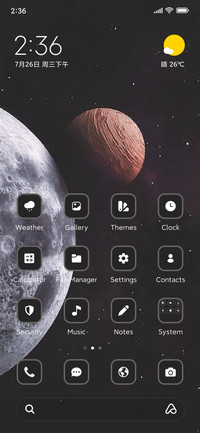 Space X