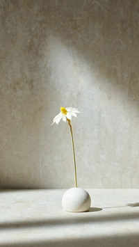 The sunlight shines in and falls on a simple flower