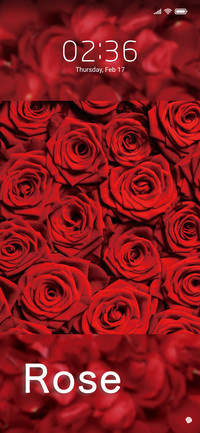 Love roses