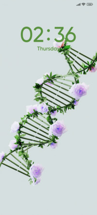 Flower DNA
