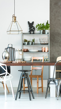 How to place green plants at home 26
