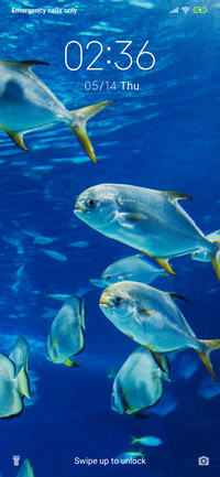 Sea fish_3MDS