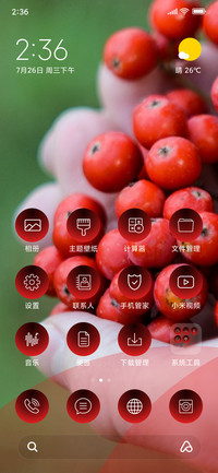 Berries_3MDS