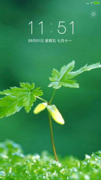 护眼