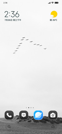 Monochrome Flight