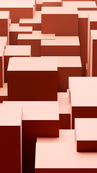 Coral cube